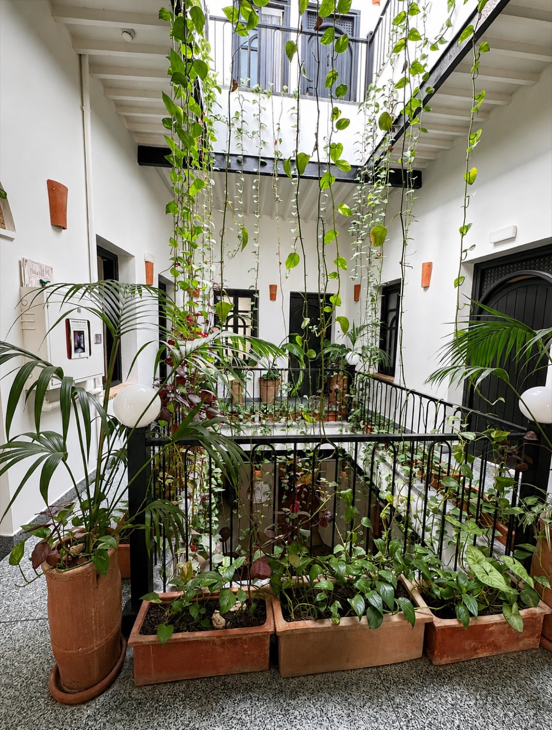 Patio blanc de NBTA aux plantes suspendues